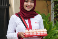 yakult lady
